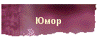 Юмор